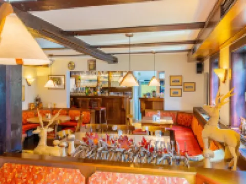 Hotel Goldener Hirsch Hotels in Suhl