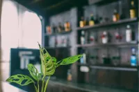 بيليزا باي ذا بيتش - بار