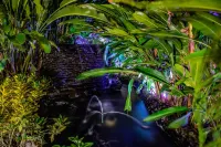 Hotel South Beach Hotels in Jaco