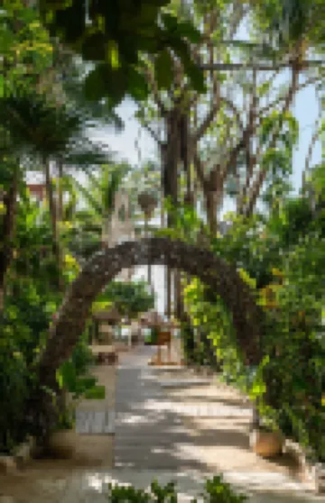 Hotel Colibri Beach