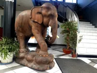 Aparthotel Area