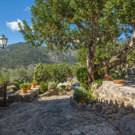 Finca Es Castell