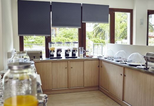 스키아토스 솜니아