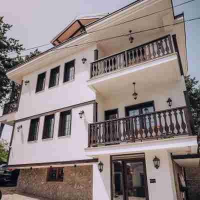 Villa Pupin Gorna Porta Hotel Exterior