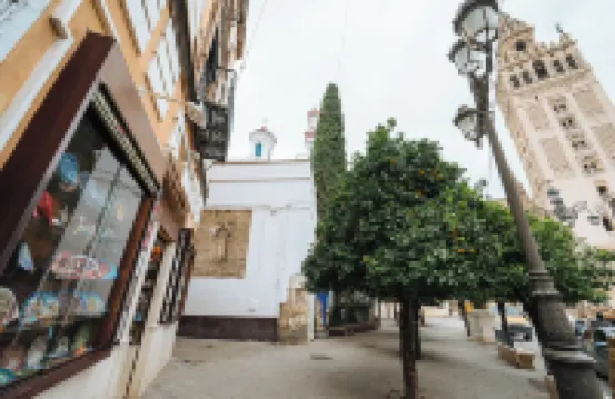 Luxurious Apartment with Patio and Pool