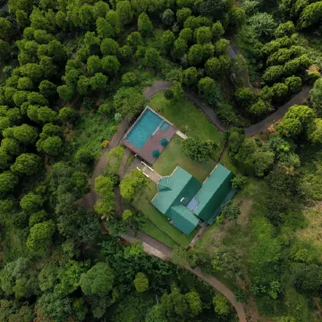 Simpson's Forest Hotel