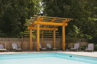 Bayside Resort, Ascend Hotel Collection - Pools