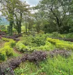 The Homecoming Farmstay Karjat Hotels in Jambarung