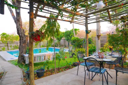 Beulah Court Vineyard