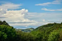 Cabinas Selva Verde
