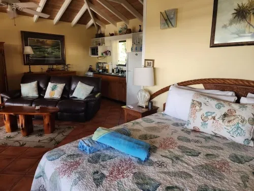 Romantic Cottage: Stunning Ocean Views. Hot tub. Cruz Bay!