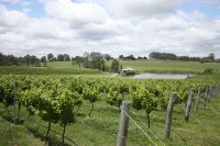 Romantic lakehouse set in a private vineyard in the Hunter Valley