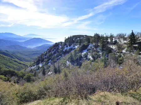 Romantic Tiny Cabin- With Lake View Отели рядом с достопримечательностью «Библиотека Лейк Арроухед Бранч»