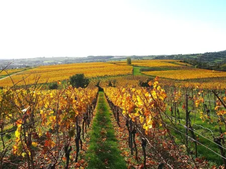 Cosy apartment at Sol'Ange