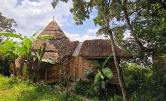 Paradise Eco-Hub