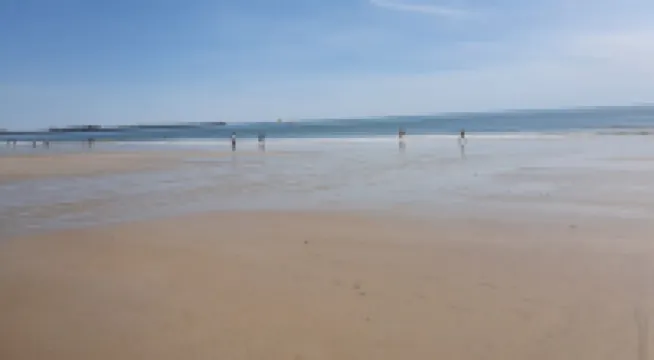 Rent t1 bis 50 m from the beach. Large south-facing balcony with sea view