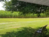 85 a night, Cute, Clean, Quiet & Convenient Hotels in Mills River