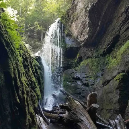 Jocassee Valley cabin- Free Park Pass