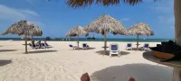 Stanza Mare B-201 Beach Front Bavaro, Punta Cana ,Best View Fully Equipped 3R-3B