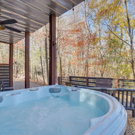 Lake Blue Ridge Cabin by the Chatahoochie Forest