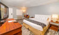 Sunshine Inn - Bathtub