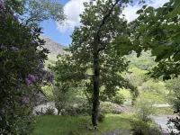 Glyn Awel Hotels in Beddgelert
