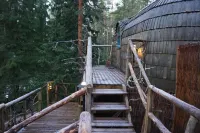 Igluhut Sleeping with Reindeer Hotels in Espoo