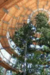 Hotel Landgasthof Hohenauer Hof - Mountain view
