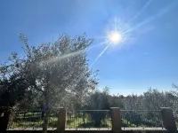 Podere la Branda BioAgriResort Hotels in Vetralla