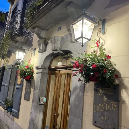 Hôtel du Lion d'Or