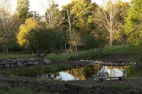 Green Dragon Organic Farm and B&B - de playa