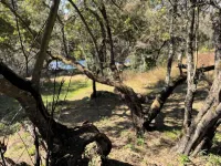 Riverhaven Self Catering - Wifi