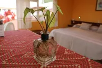Belisana Hotels in Општина Истапан де ла Сал
