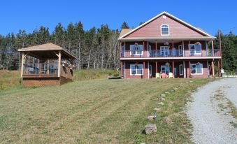 The Fiddle and the Sea Bed and Breakfast