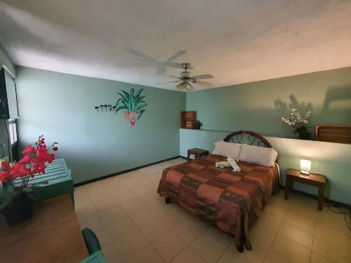 Hierba de Conejo Hostel Hotels in Oaxaca