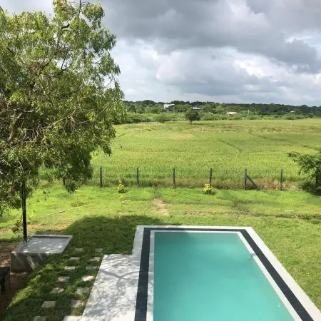 Tree Tops Yala