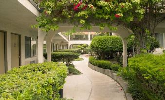 California Suites Hotel