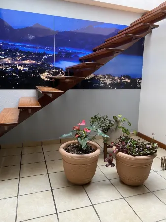 Posada Catalina Отели в г. Сакатлан