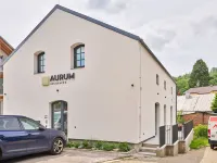 Luxury Mountain Attic with AC & Netflix Hotels in Cerny Dul