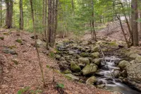 Mid-Century Tenney Mountain Condo Near Hiking - Spa
