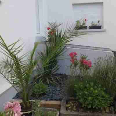 Geranium Apartment Hotel Exterior