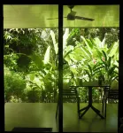 Quiet, private, Jungle House - 4x4 Required