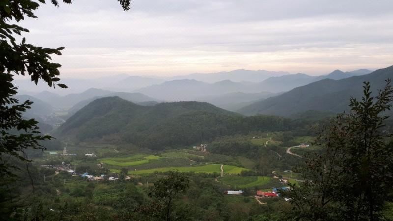 김천 산속의아침펜션