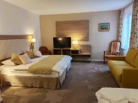 Hostellerie Saint Florent Hotels in Schirmeck