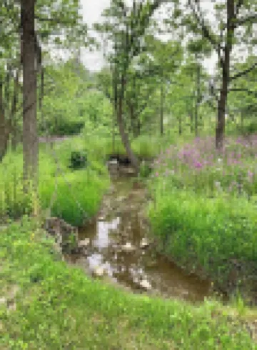 Modern Rustic Charm Apartment. Quiet setting. Only a 4 minute drive to downtown!