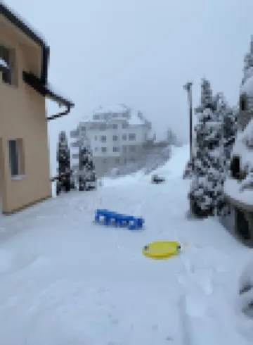 Apartment Tangerine Kopaonik, Villa Snow Queen Hotels in Municipality of Raska