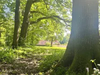 Secluded Sussex Studio with Private Forest Access