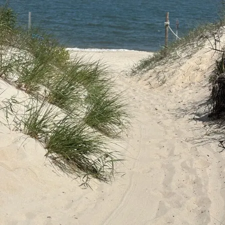 The Sandbox by the Bay~ 4BR, Bonus Room, Big Yard, & Outdoor Shower