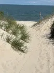 The Sandbox by the Bay~ 4BR, Bonus Room, Big Yard, & Outdoor Shower