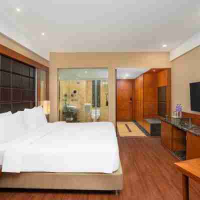 德里機場麗笙世嘉飯店 Rooms